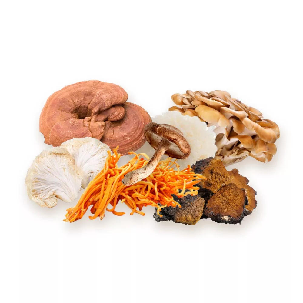 biomenÜ bio 7 gomba keverék kapszula