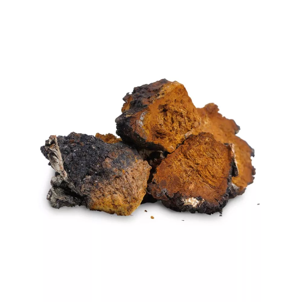 biomenÜ bio chaga gomba 100g