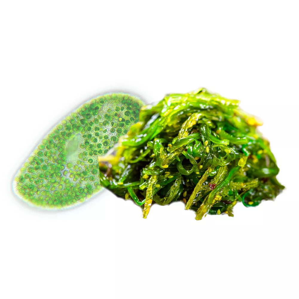 biomenÜ bio chlorella és spirulina alga 60db kapszula