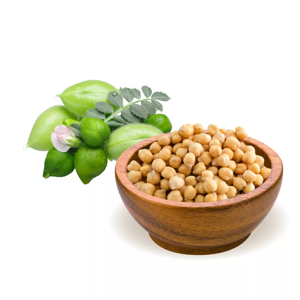 biomenÜ bio csicseriborsó