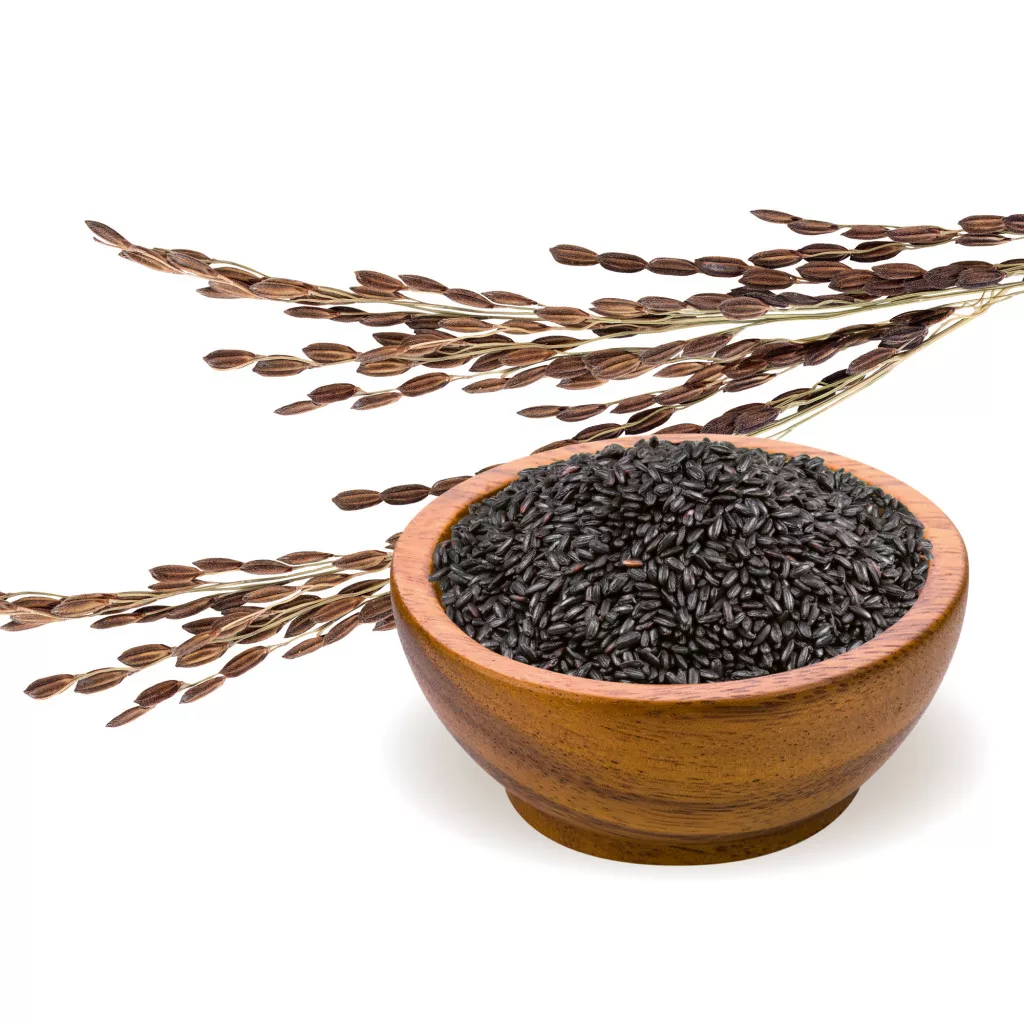 biomenÜ bio fekete rizs