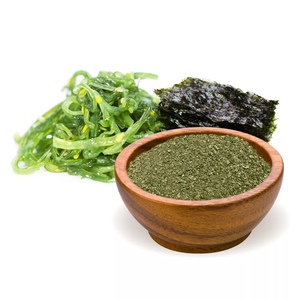 biomenÜ bio kelp alga por