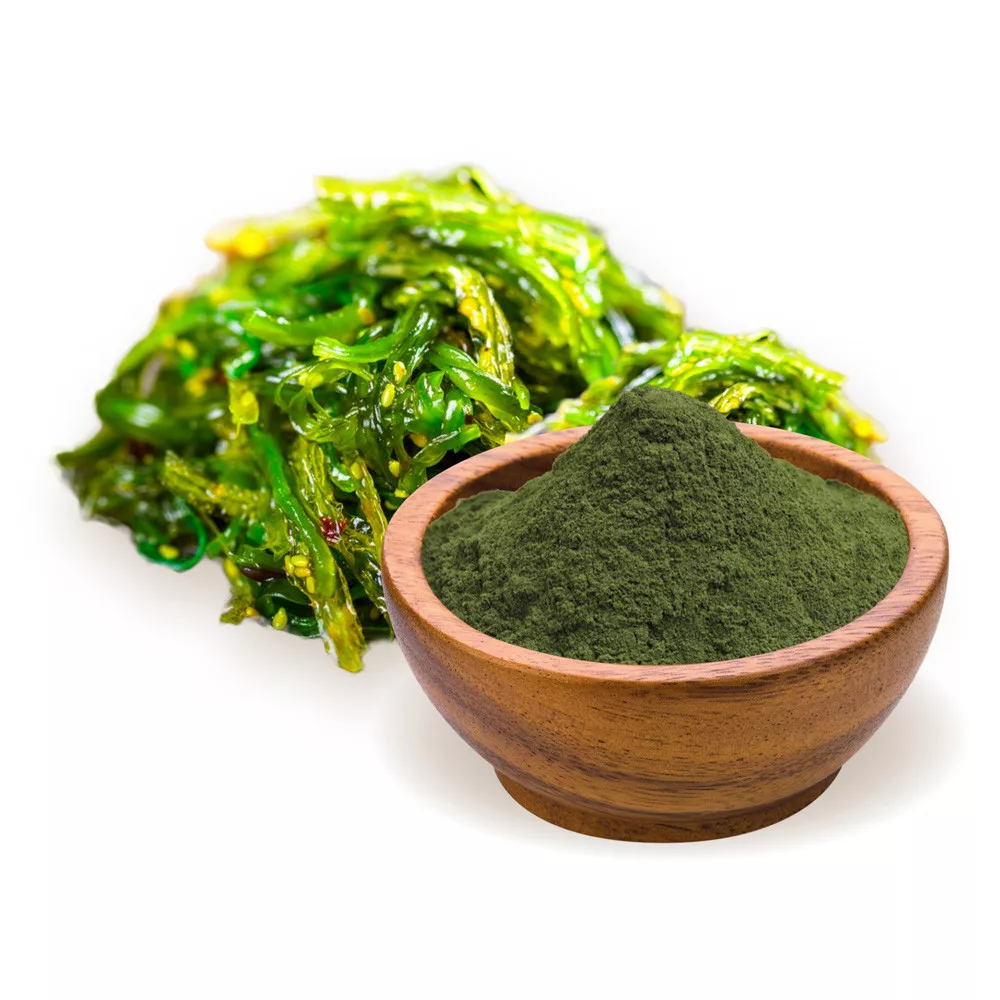 biomenÜ bio spirulina alga