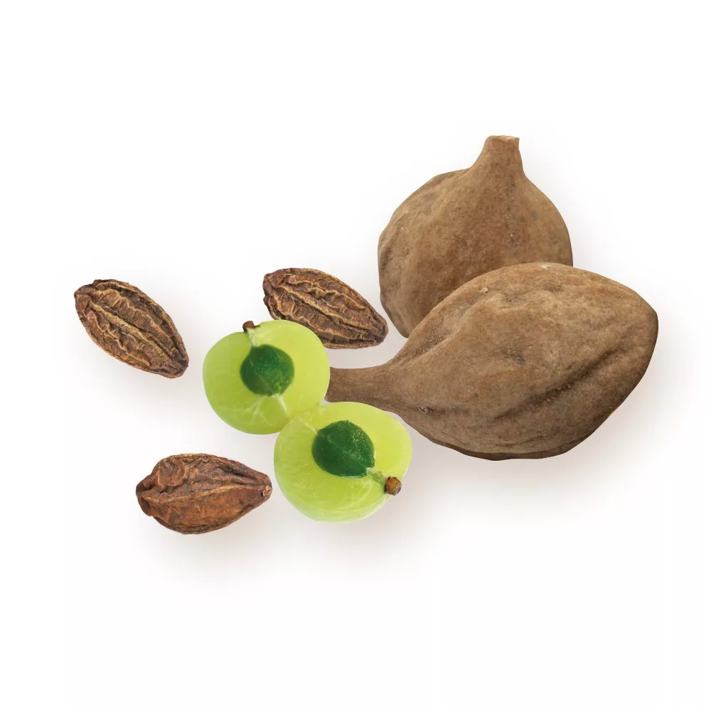 biomenÜ bio triphala 125g