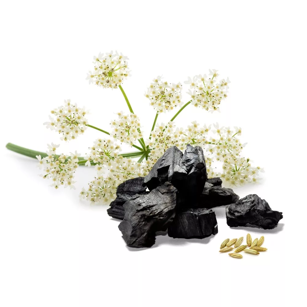 caleido Ánizs + aktív szén kapszula