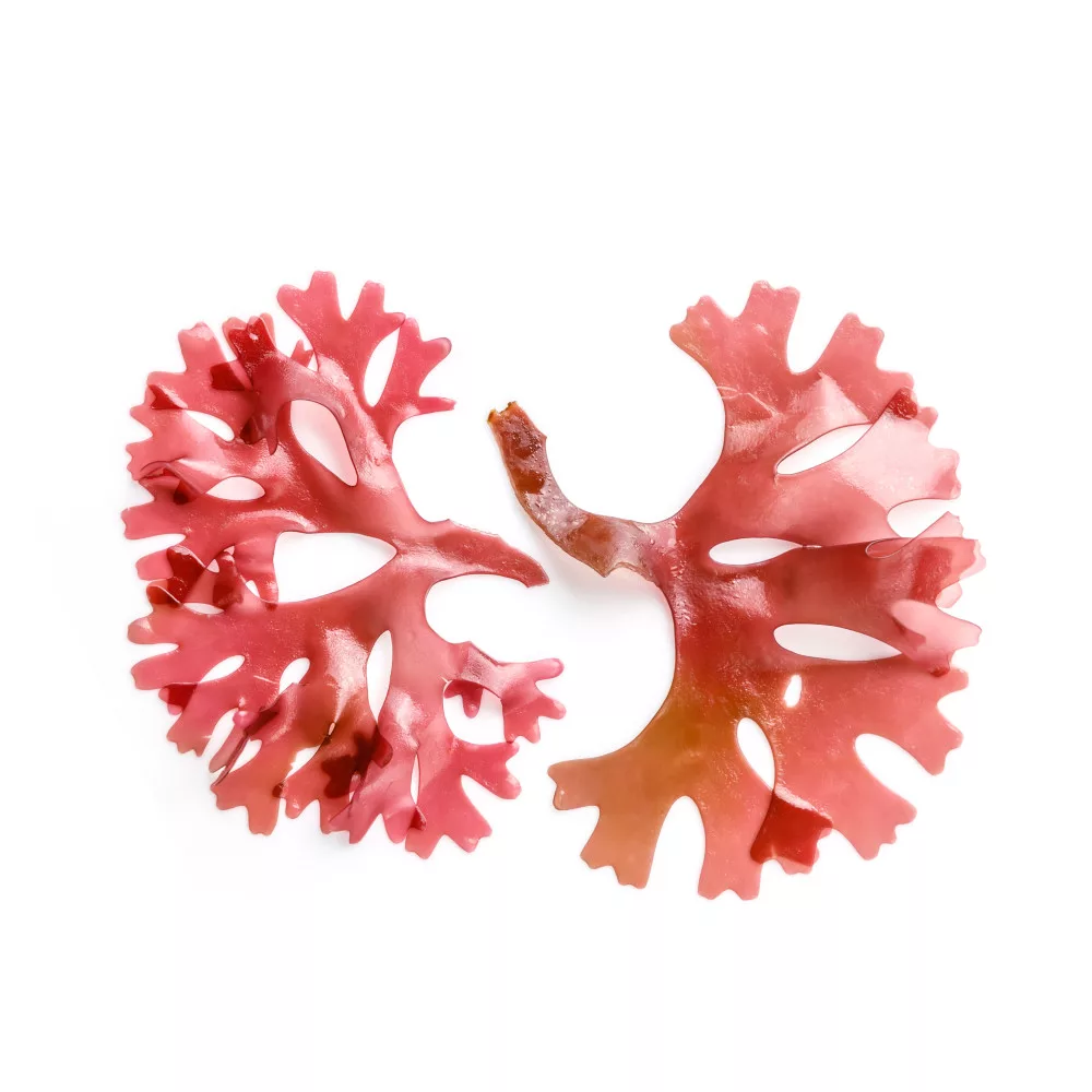 caleido asztaxantin gélkapszula