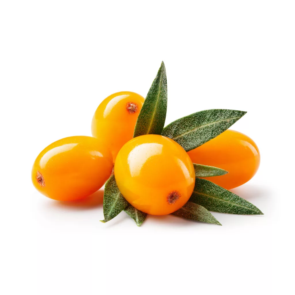 caleido homoktövismag olaj gélkapszula