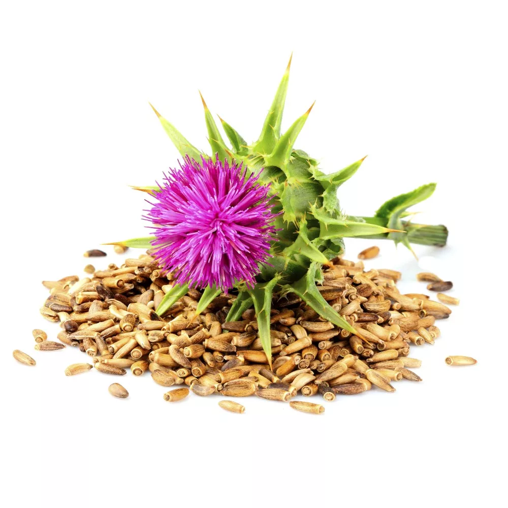 caleido máriatövis kapszula