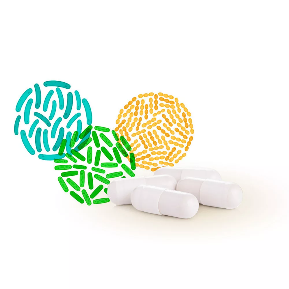 caleido mega probiotikum kapszula