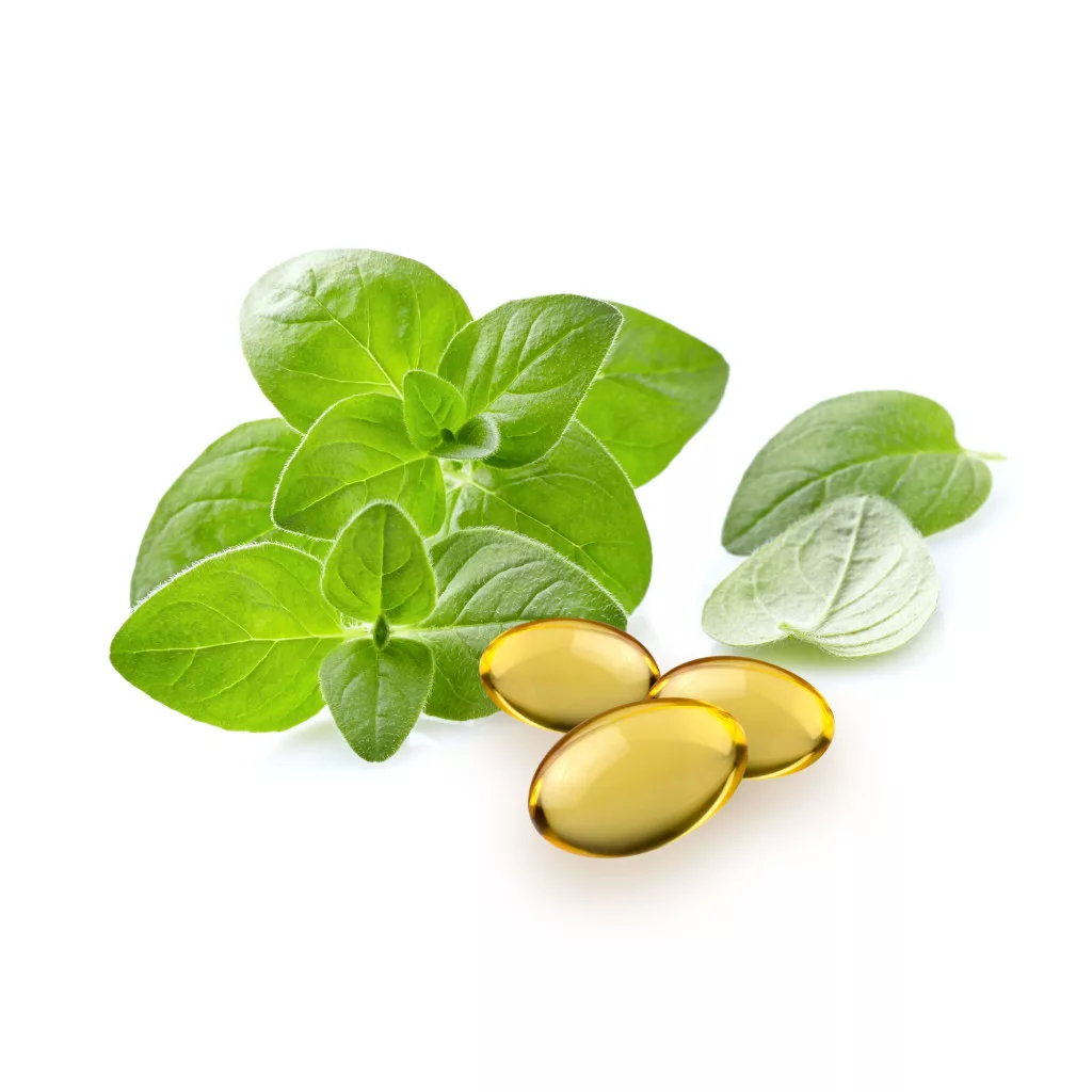 caleido oregánó esszenciális olaj gélkapszula